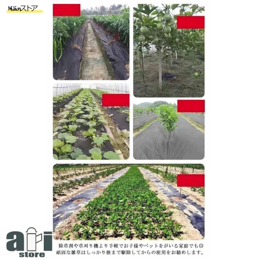 雑草防止 雑草対策