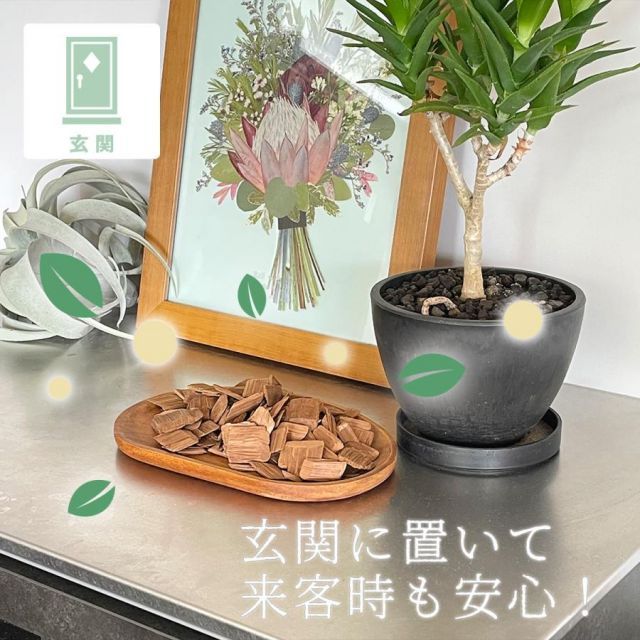ペット