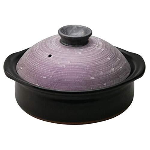 小売 Panasonicプレミアムイオンエフェクター高浸透タイプ EH-XT40