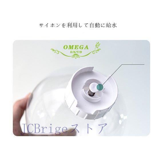 ボール型 かわいい