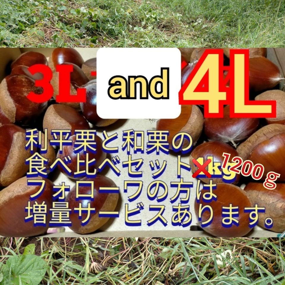 熊本県産 利平栗 と 和栗 の食べ比べセット 1200g 利平くり 生栗 栗 くり クリ 秋の味覚 旬 グルメ 果物 - 栗と筍の専門店 - メルカリ