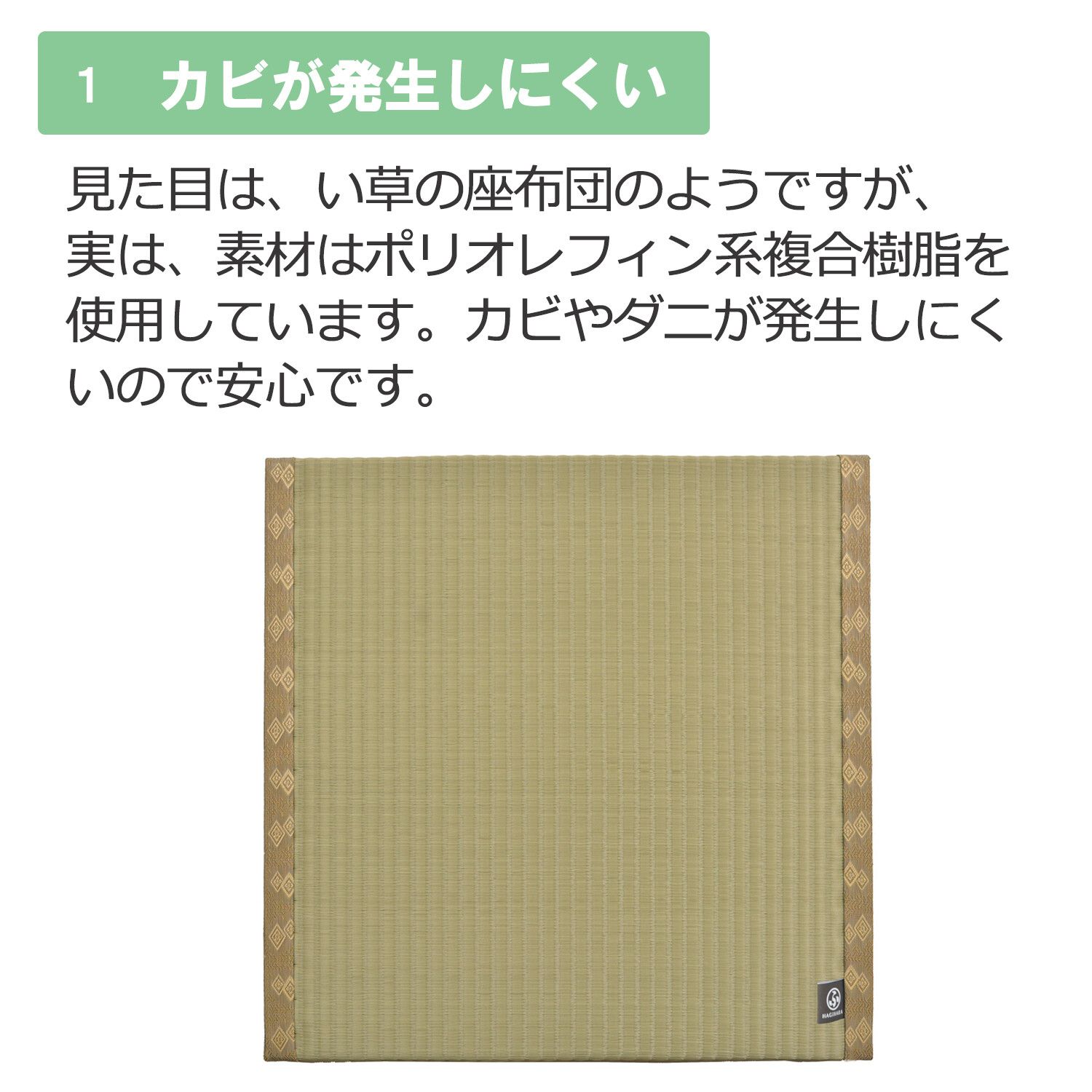 約55×55×H5cm 2個セット