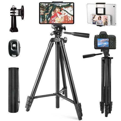 激レア】ドラゴンズドグマ リミテッドエディション フィギュア