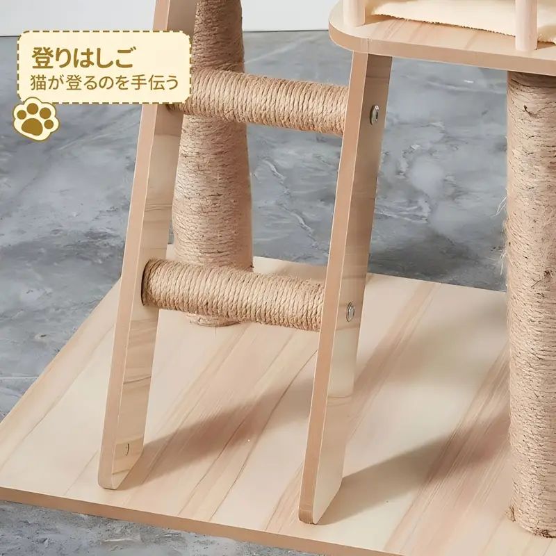 猫ハウス
