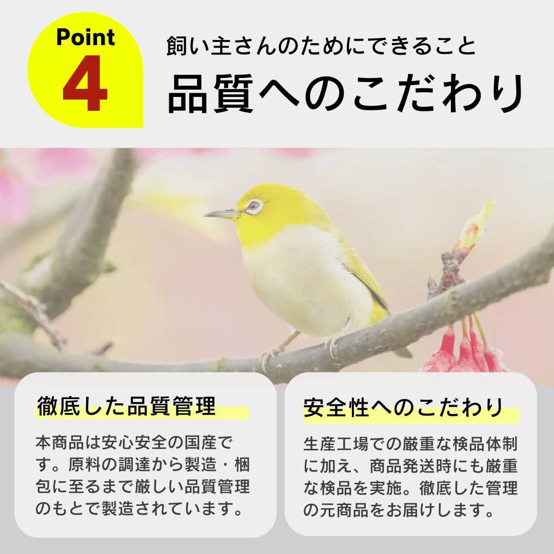 ホオジロ