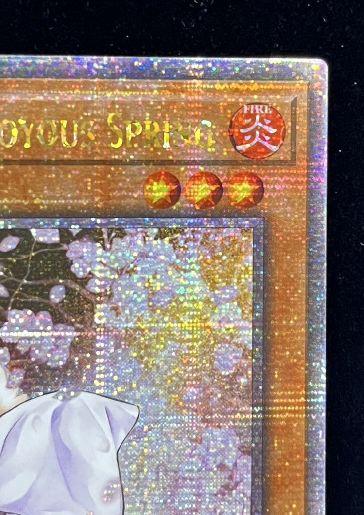 ✟