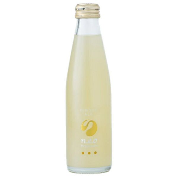 友桝飲料 n.e.o ネオ ジンジャーエール 200ml瓶×24本入× 2ケース | 生姜 炭酸 スパークリング 割り材