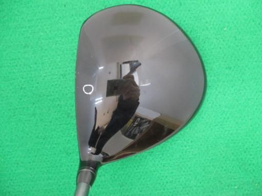 egg bird