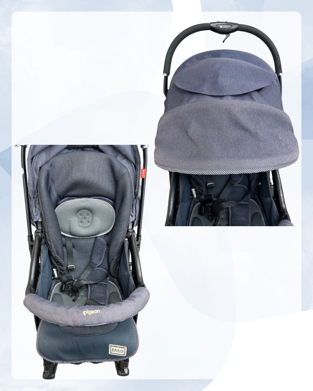 Pigeon BASIS Runfee RA7