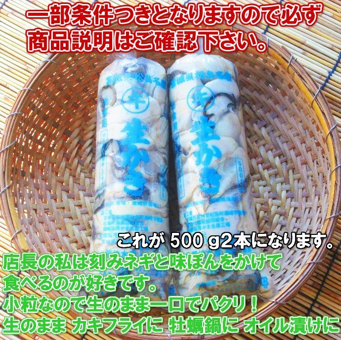 【生食用剥き身500ｇ】と【殻付き牡蠣1.5ｋｇ（約13個）】のセット 生食用牡蠣 牡蠣生食用 カキ 牡蛎 BBQ お花見 父の日 母の日  お中元「剥き身1本+生食1.5kg」松島牡蠣屋 かき バーベキュー 海鮮 貝類【80】