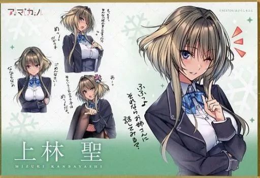 紙製品 上林聖 アマカノシリーズ ミニ色紙これくしょん あざらしそふとオンリーショップグッズ