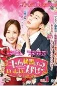 キム秘書はいったい なぜ 16巻セット レンタル落ち DVD