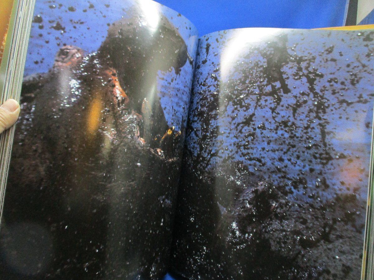 キュンケル アフリ