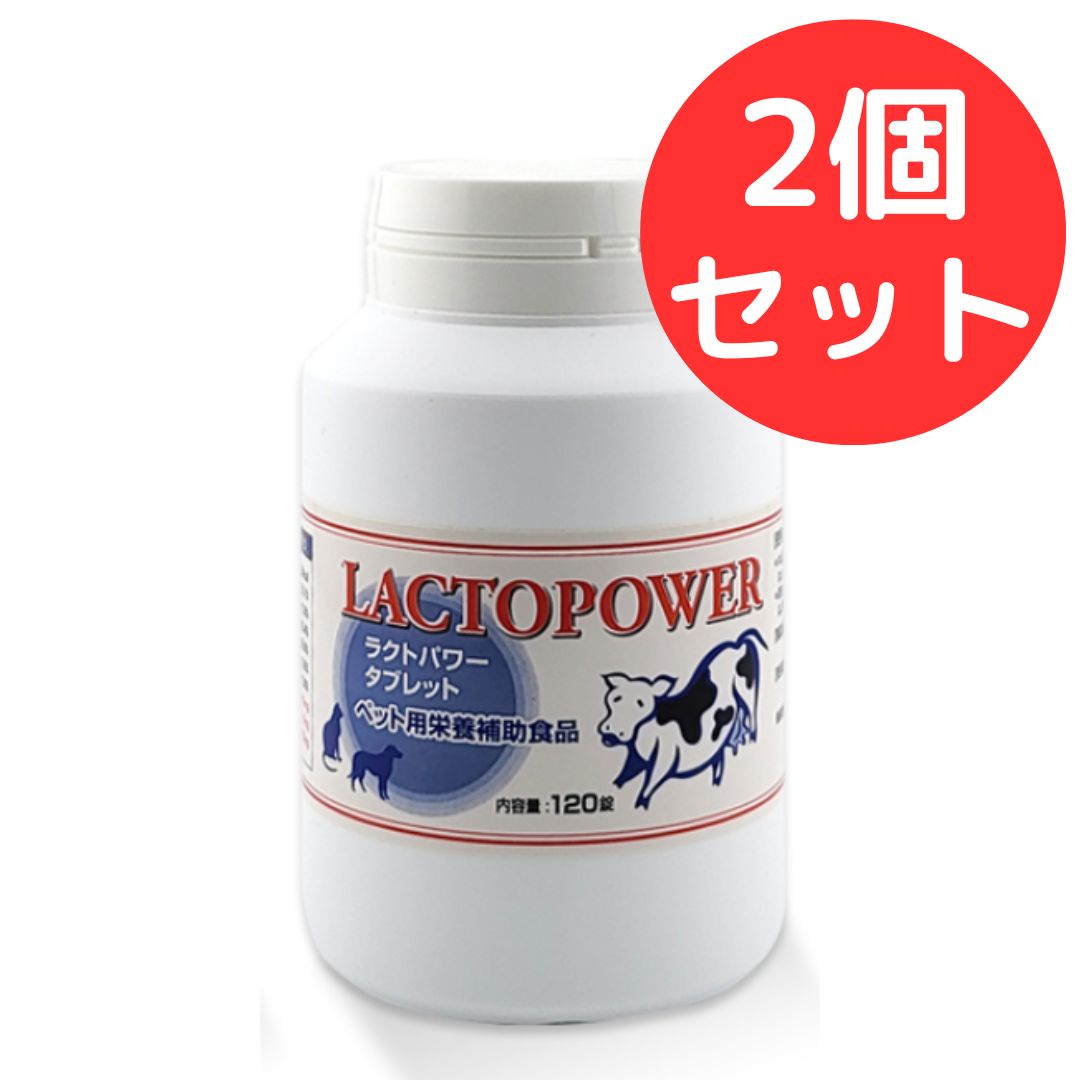 ラクトパワー 錠剤 120粒 プランシュール 2個セット