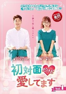 初対面だけど愛してます 16巻セット 字幕 レンタル落ち DVD