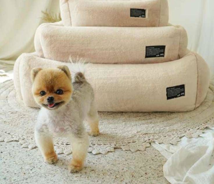 犬 犬用 ベッド 北欧風ペット ペット用 犬用ベッド ペットベッド 洗える ゆったり ふわふわ 介護 カウチベッド クッション#angel131059#ゆめみこうじ
