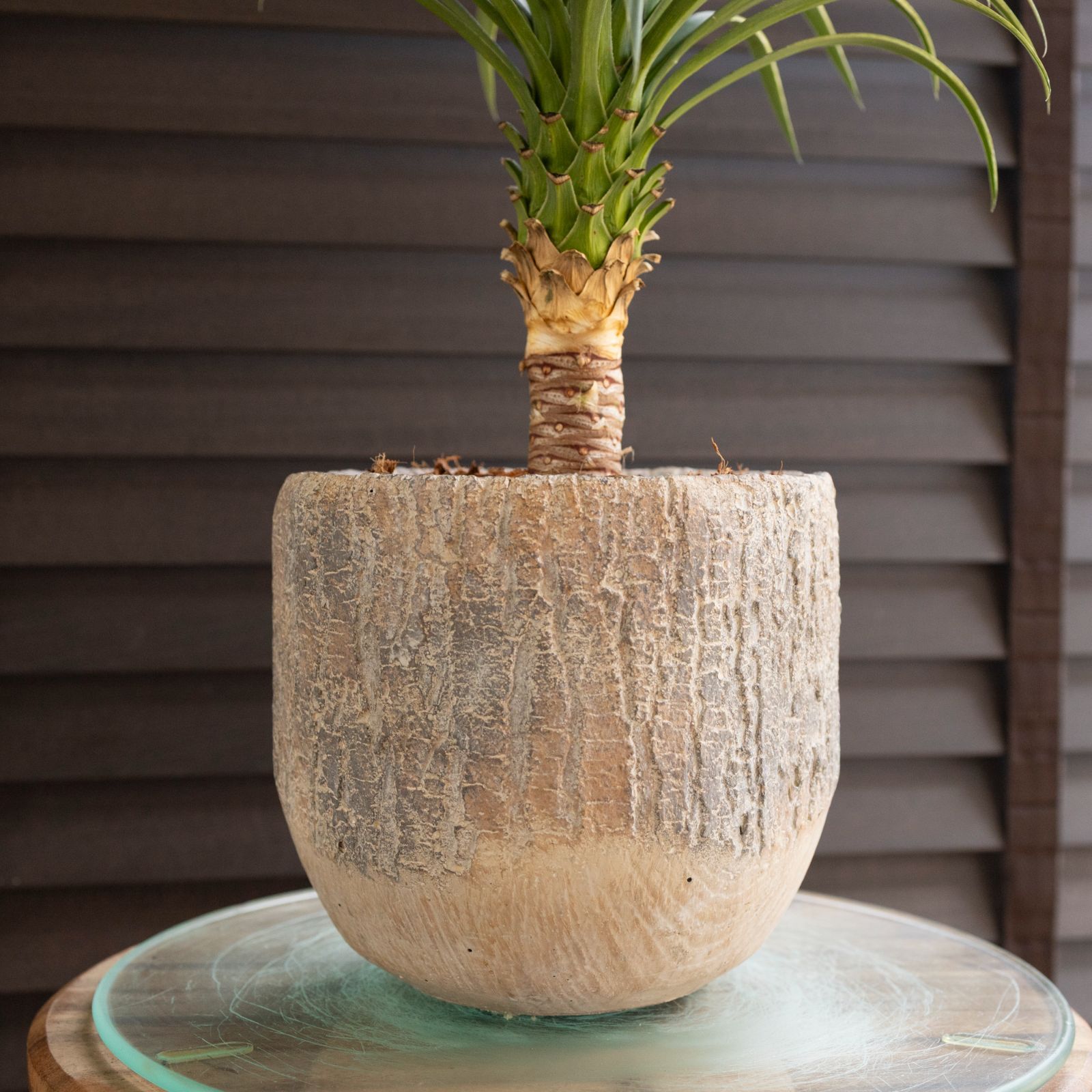 三足鼎 双耳九龍熏香炉 彫刻 置物 開運 金運 風水 工芸品 美術品 round