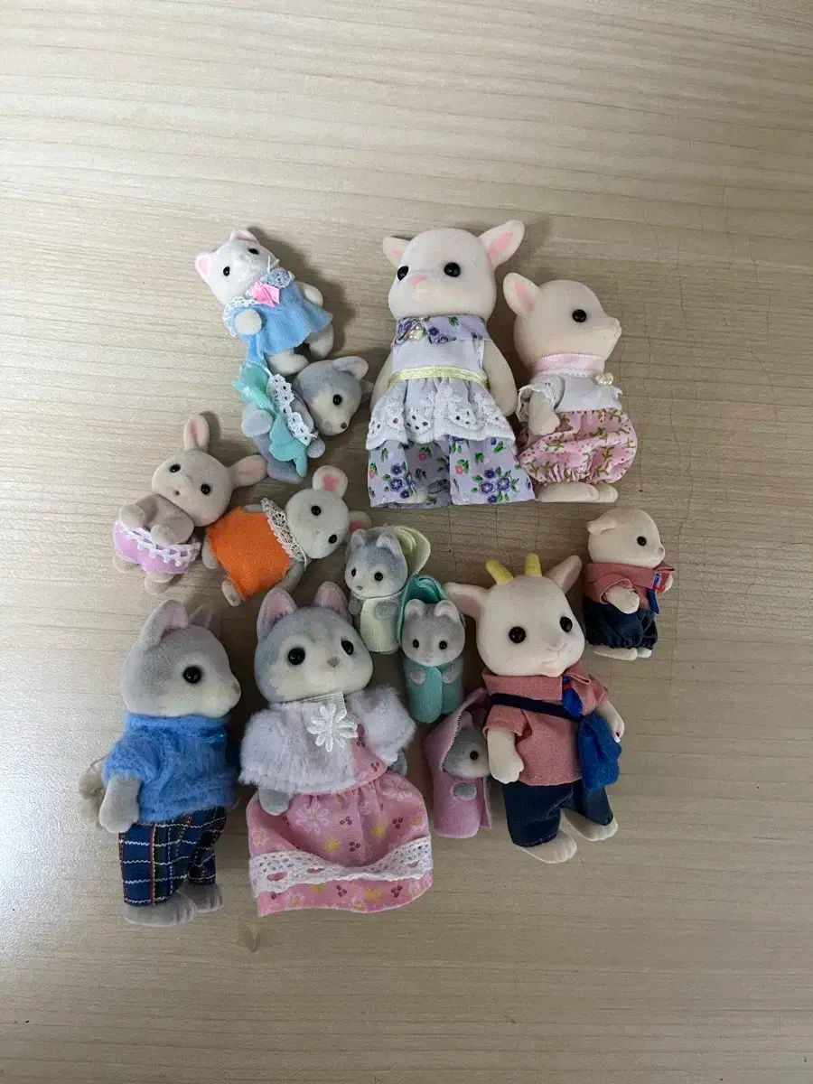 ファミリーグループ
