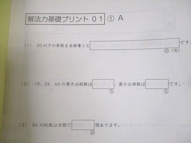サピックス　小6算数　最高峰特訓 (20-B) (20-A)　未使用原本 SAPIX サピックス 算数 最高峰特訓 【計16回分】 ☆ 014m2D : ブックス