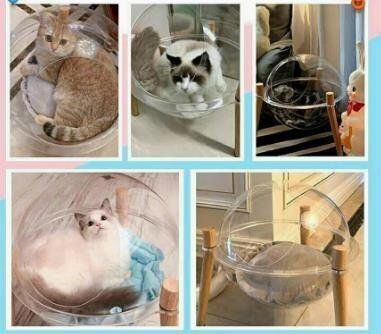 高品質 オールシーズン対応の透明な キャットタワー 猫 キャットウォーク キャットステップ ベッド ハウス 天然木 STEELWINDOWSANDDOORS_COM