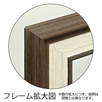 ユーパワー X RAY キャンバスアート ラウンドローズ M XR-12016 TALLINNNEXPO_COM