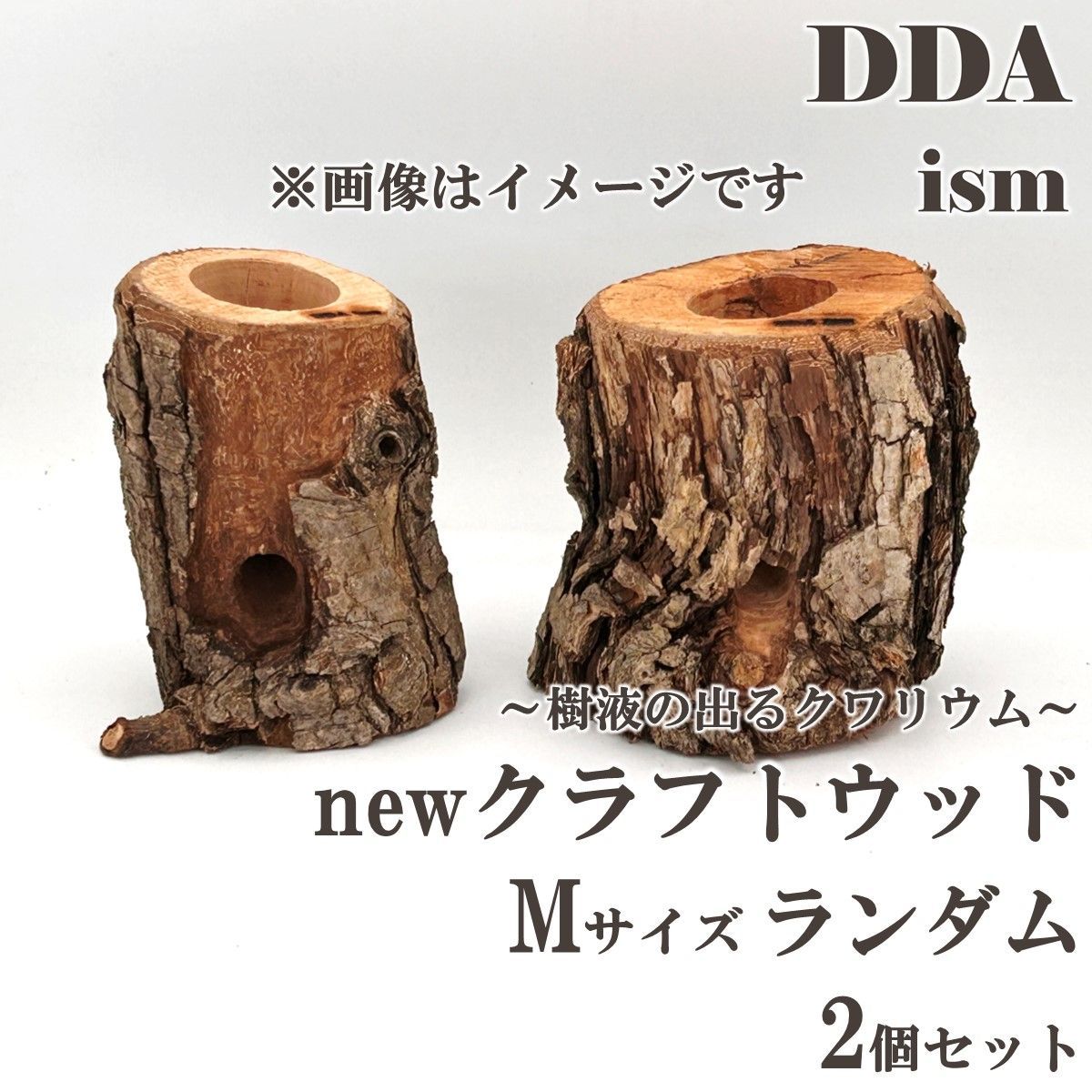 【DDA】樹液の出るクワリウム newクラフトウッド Mサイズ ランダム2個セット dda クワガタ カブトムシ えさ皿 止まり木 登り木