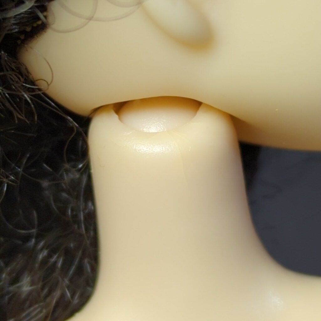 ペットワークス CCS-momoko Sunny Lingerie 07SS ホワイトライオン WWW_STEELWINDOWSANDDOORS_COM