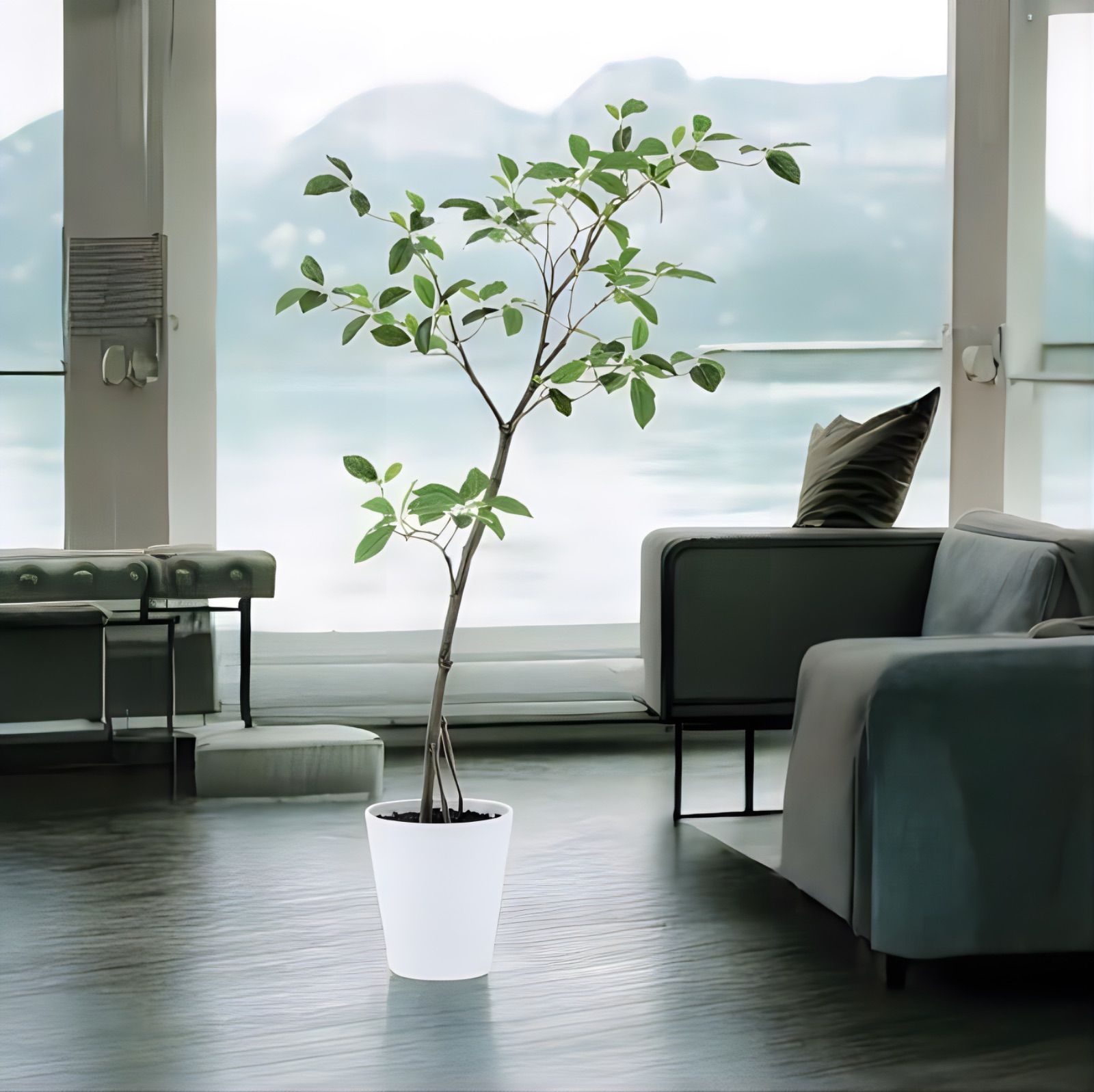 光触媒　人工観葉植物　ウォールグリーン　フェイクグリーン　ガジュマル ボウル@ 光触媒 人工観葉植物 ウォールグリーン フェイクグリーン