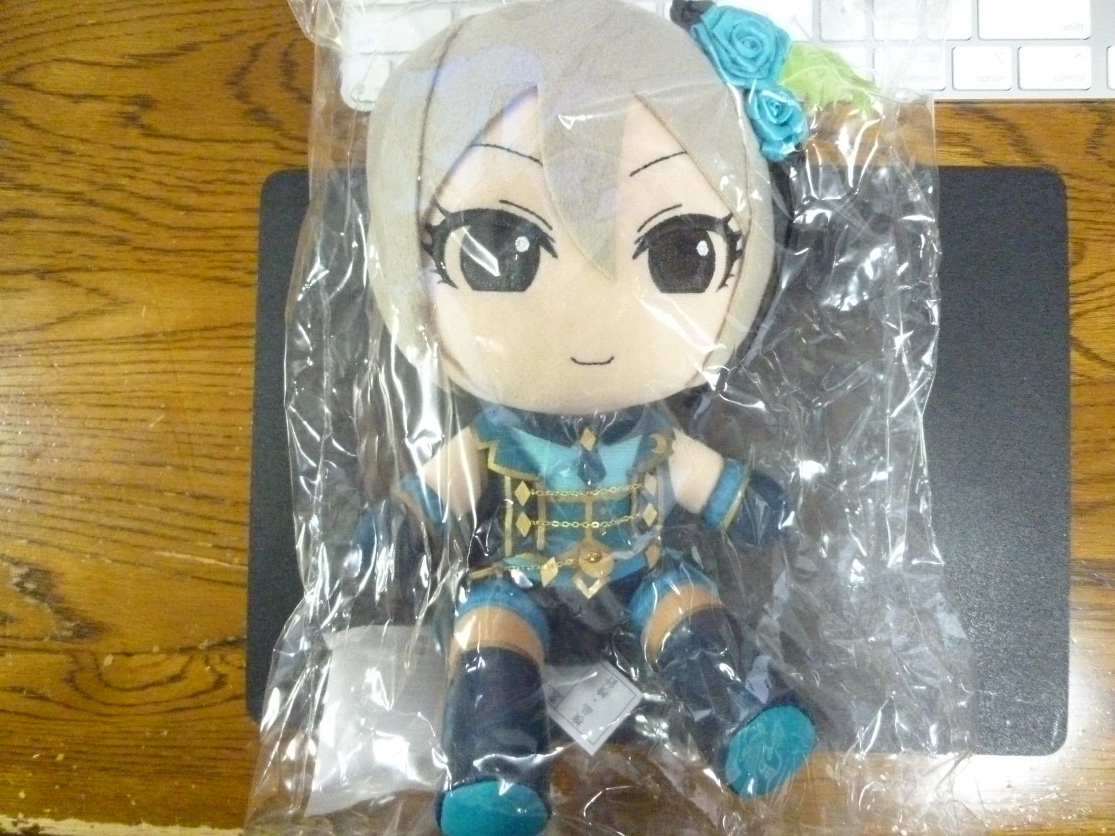 アイドルマスター シンデレラガールズ ぬいぐるみ 一ノ瀬志希 LiPPSver