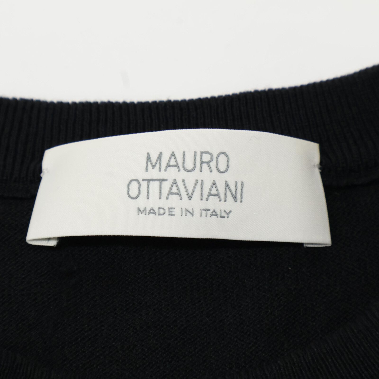 Mauro Ottaviani