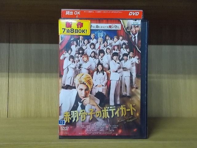 DVD 赤羽骨子のボディーガード ラウール 高橋ひかる ※ケース無し