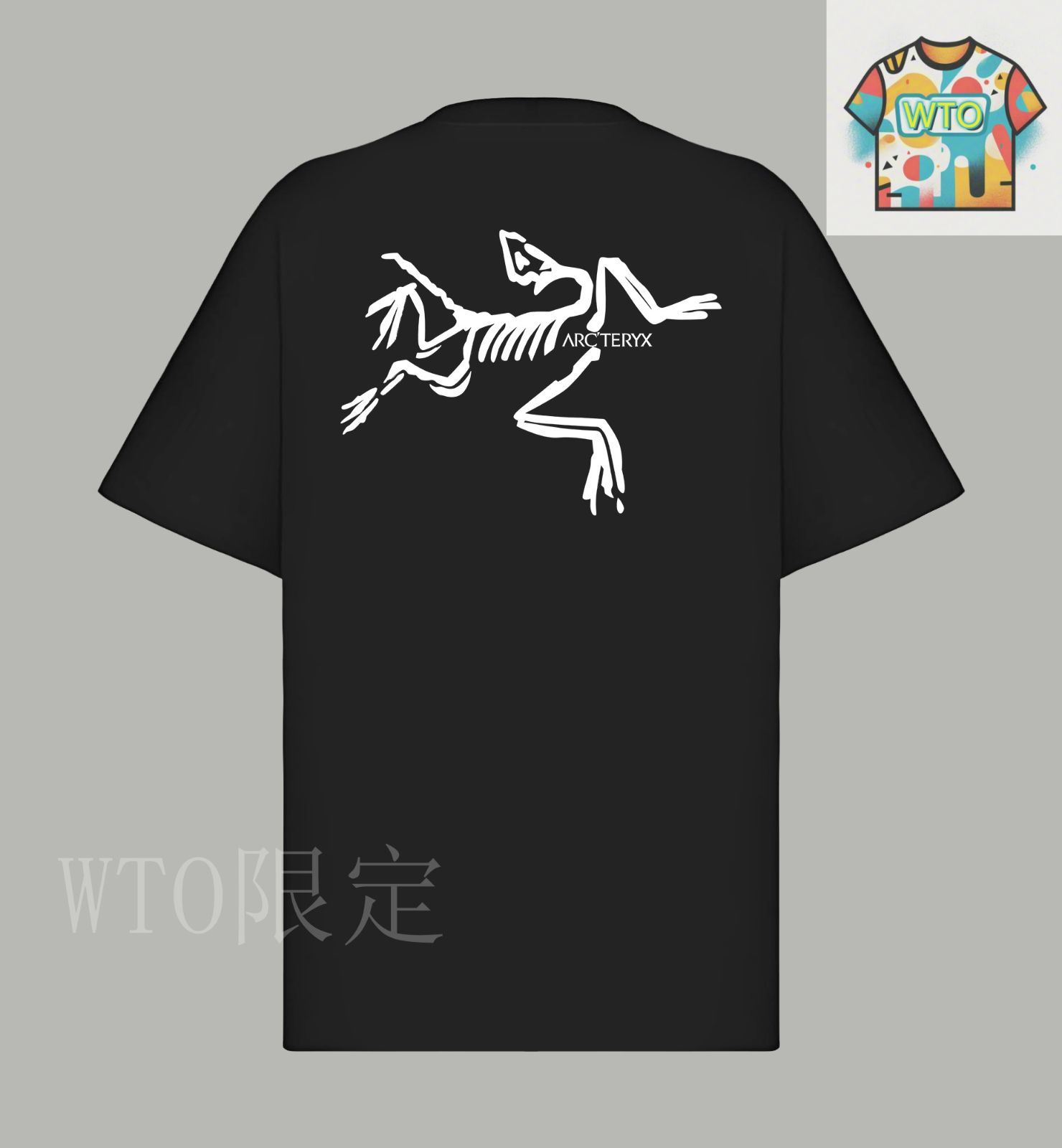 レア　アークテリクス　コットン　tシャツ スキー　プリント　arcteryx レア アークテリクス コットン tシャツ スキー プリント arcteryx