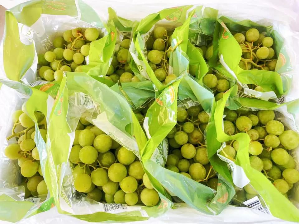 豪州産たねなしクリスピー緑ぶどう(甘い硬い安い )約9.0KG/箱