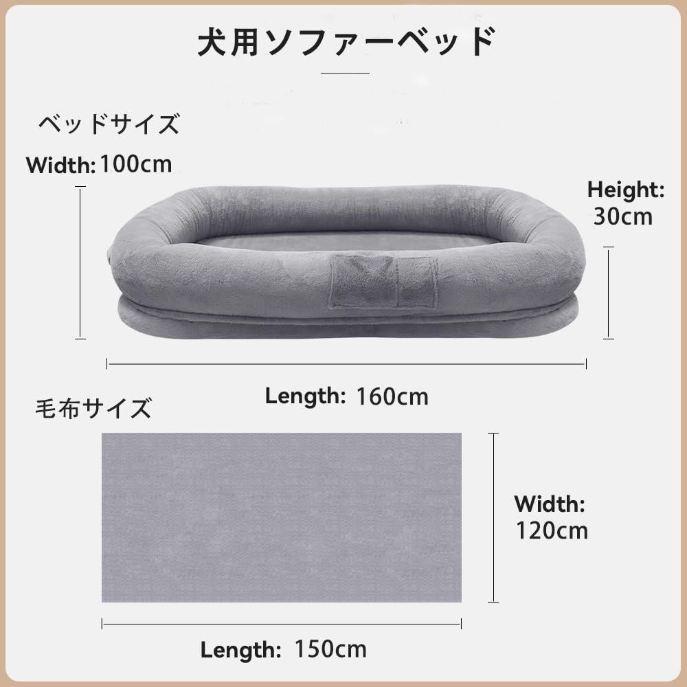 飼い主とペットのベッド ぐっすり眠る