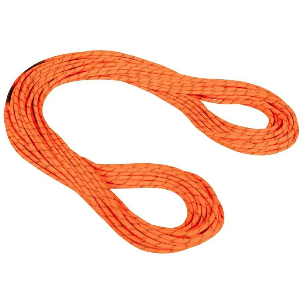 お取り寄せ ２～４週間で発送 マムート アルパイン ドライ 8.0mm ロープ Dry Standard. Safety Orange | Bo t MAMMUT Alpine Dry 8.0 mm t