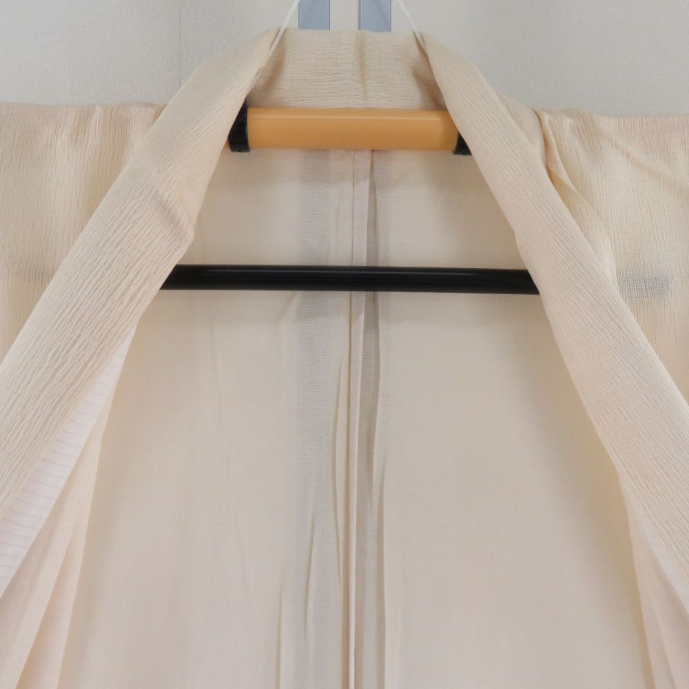 訪問着 紗 紗袷 櫛織り クリーム色 裏地絽 正絹 あやめ模様 箔入り 袷