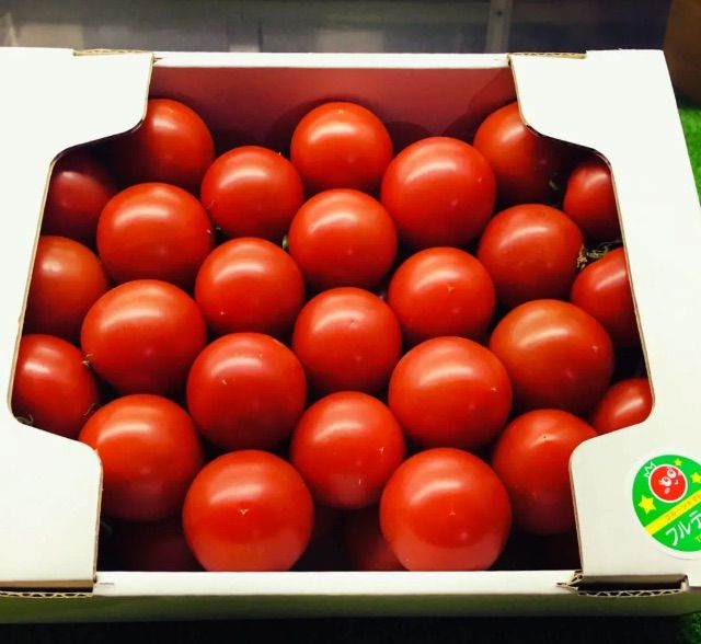 朝どりフルティカ2キロBOX！クールメルカリ便８０サイズ！農家👩‍🌾直送🚚！フルーツトマト！