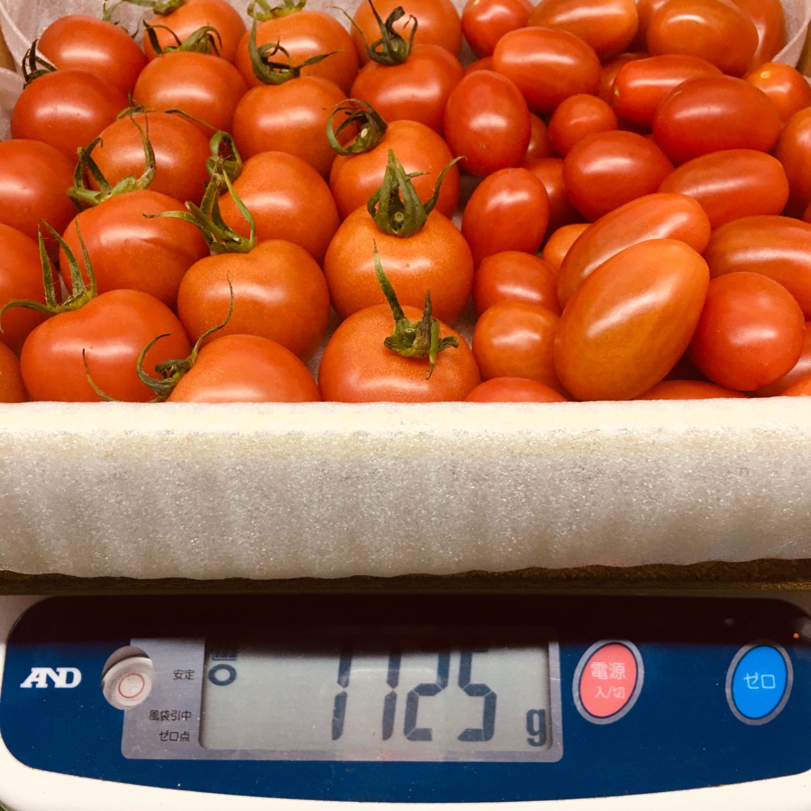 フルティカとフラガールのデュエット！農家👩‍🌾直送！フルーツトマト！宅急便コンパクト！