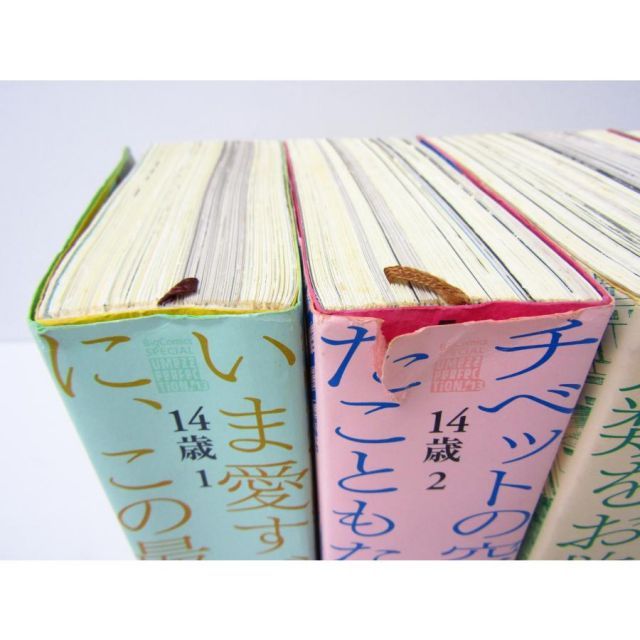 14歳 1～4巻 全4巻セット 楳図パーフェクション 楳図かずお 漫画