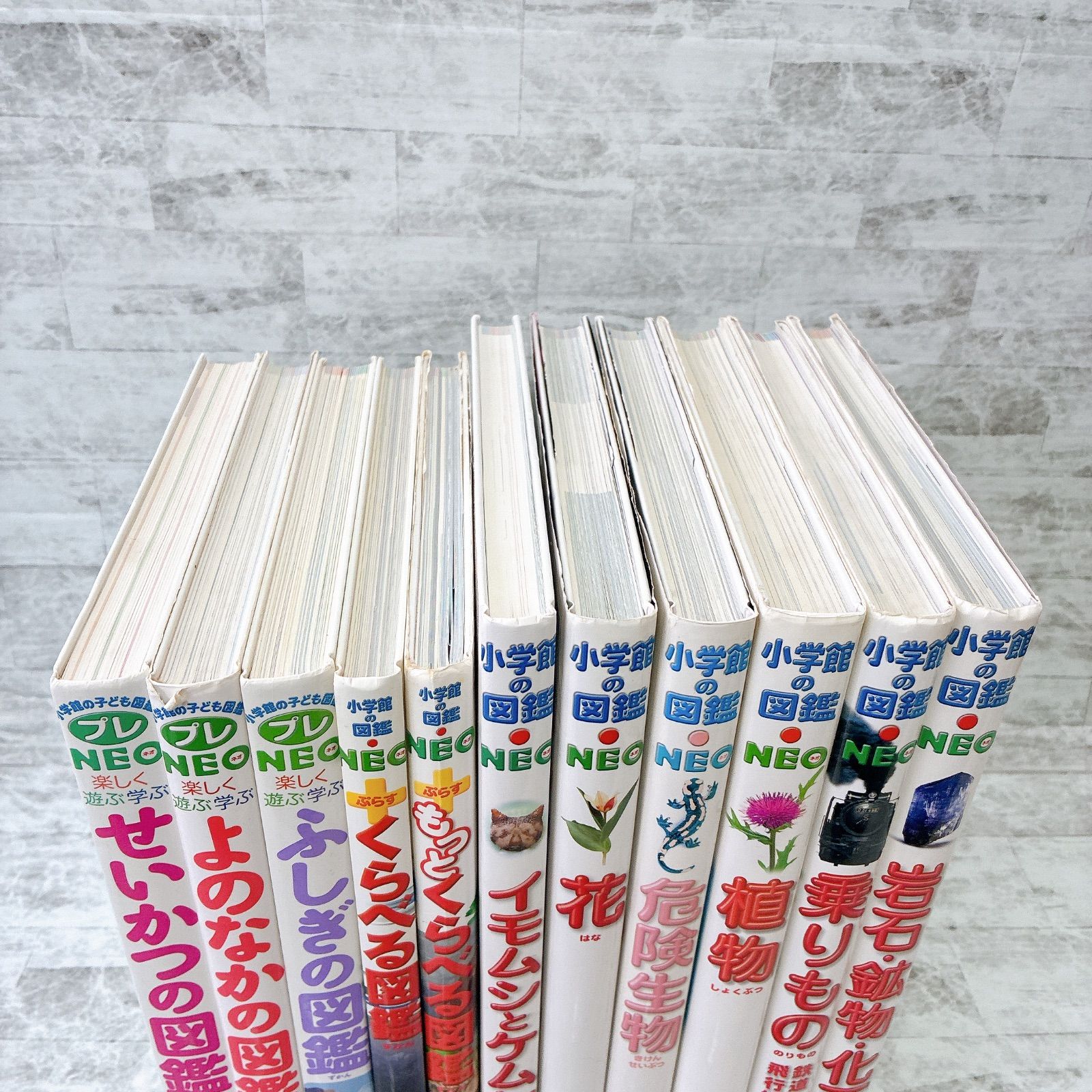 小学館の図鑑NEO 11冊セット Amazon.co.jp: 小学館の図鑑NEO 新11