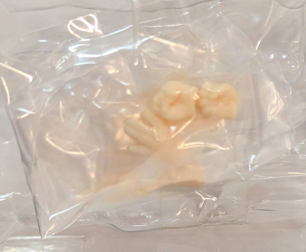 テクノロジー アゾン 1 12アサルトリリィシリーズ 宮崎火刈 覚醒ver. アゾンDS ver 騒がしい