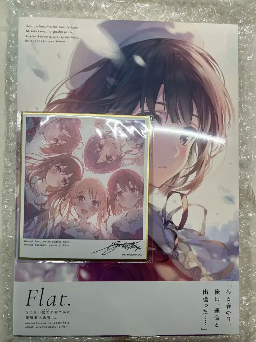 さえかのう 画集
