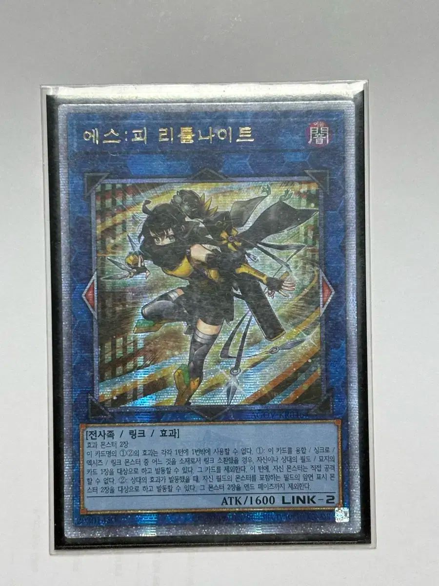 遊 戯 王 S P リトルナイト 韓国語版 QC シークレット