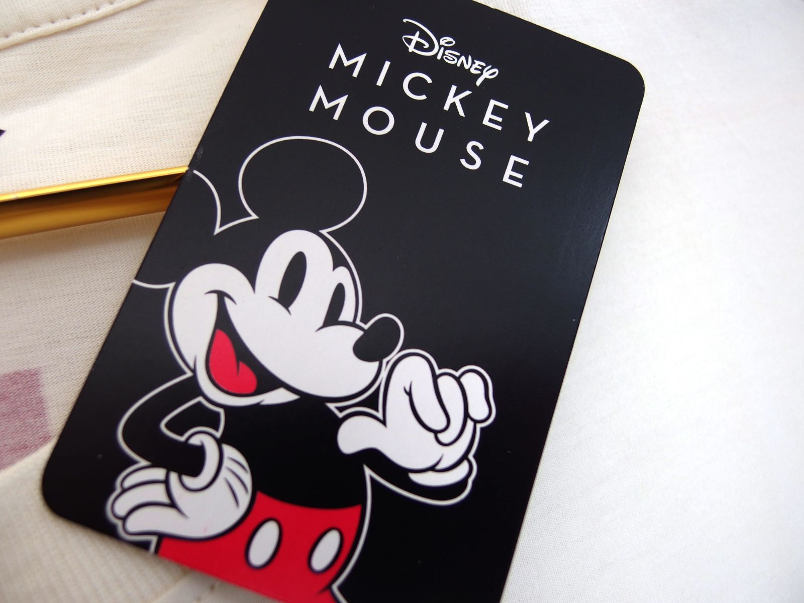 D002 Mickey ミッキーマウス Minnie ミニーマウス キャンプ