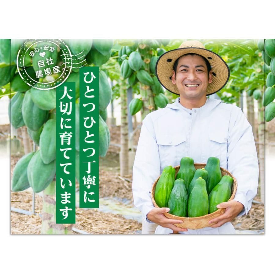EM発酵