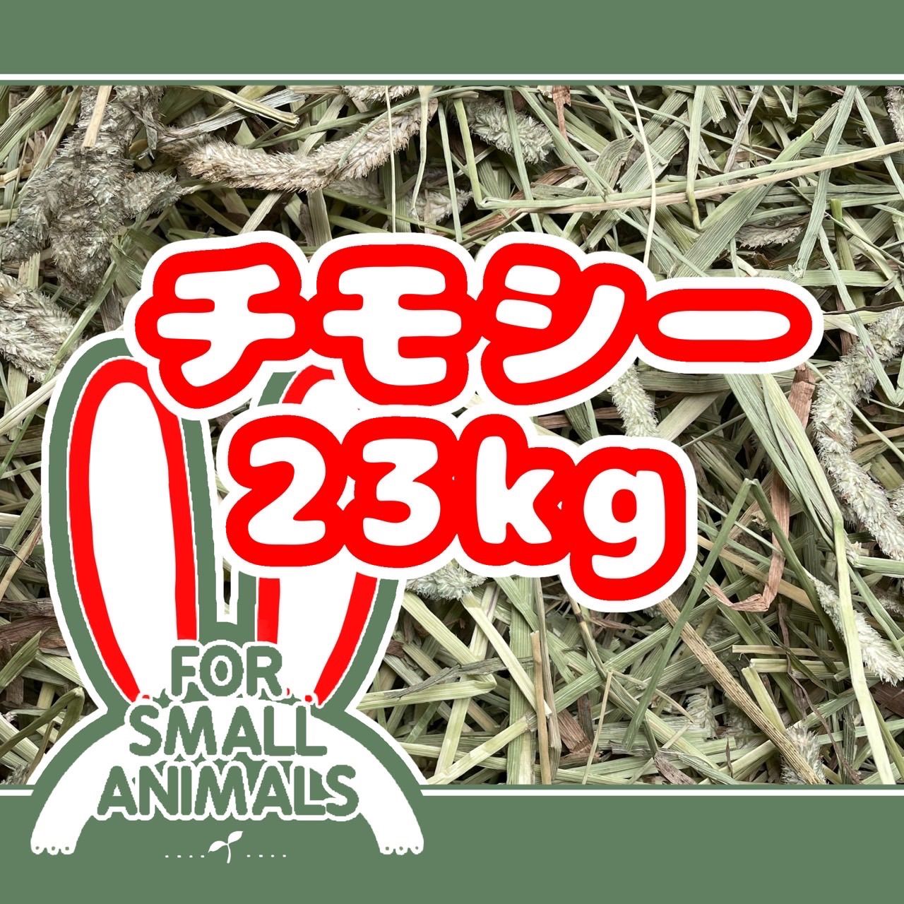 ファイナルファンタジー11 キーケース 飛空旅行社パスケース
