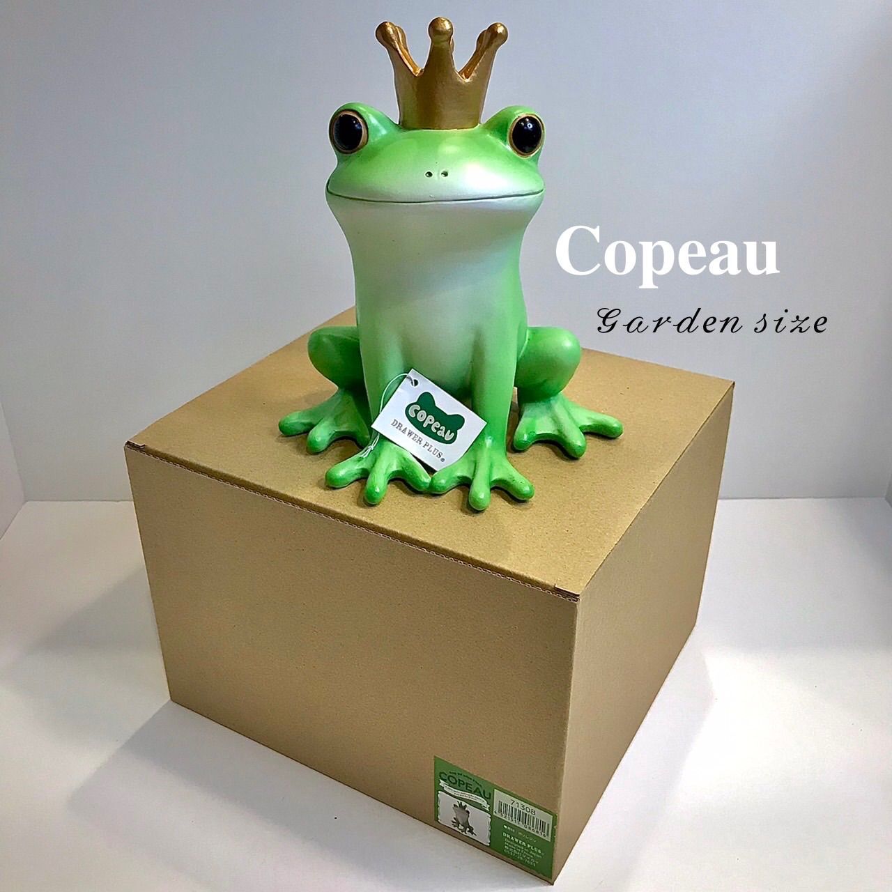 ダイカイ コポー《Copeau》Garden size 王冠カエル
