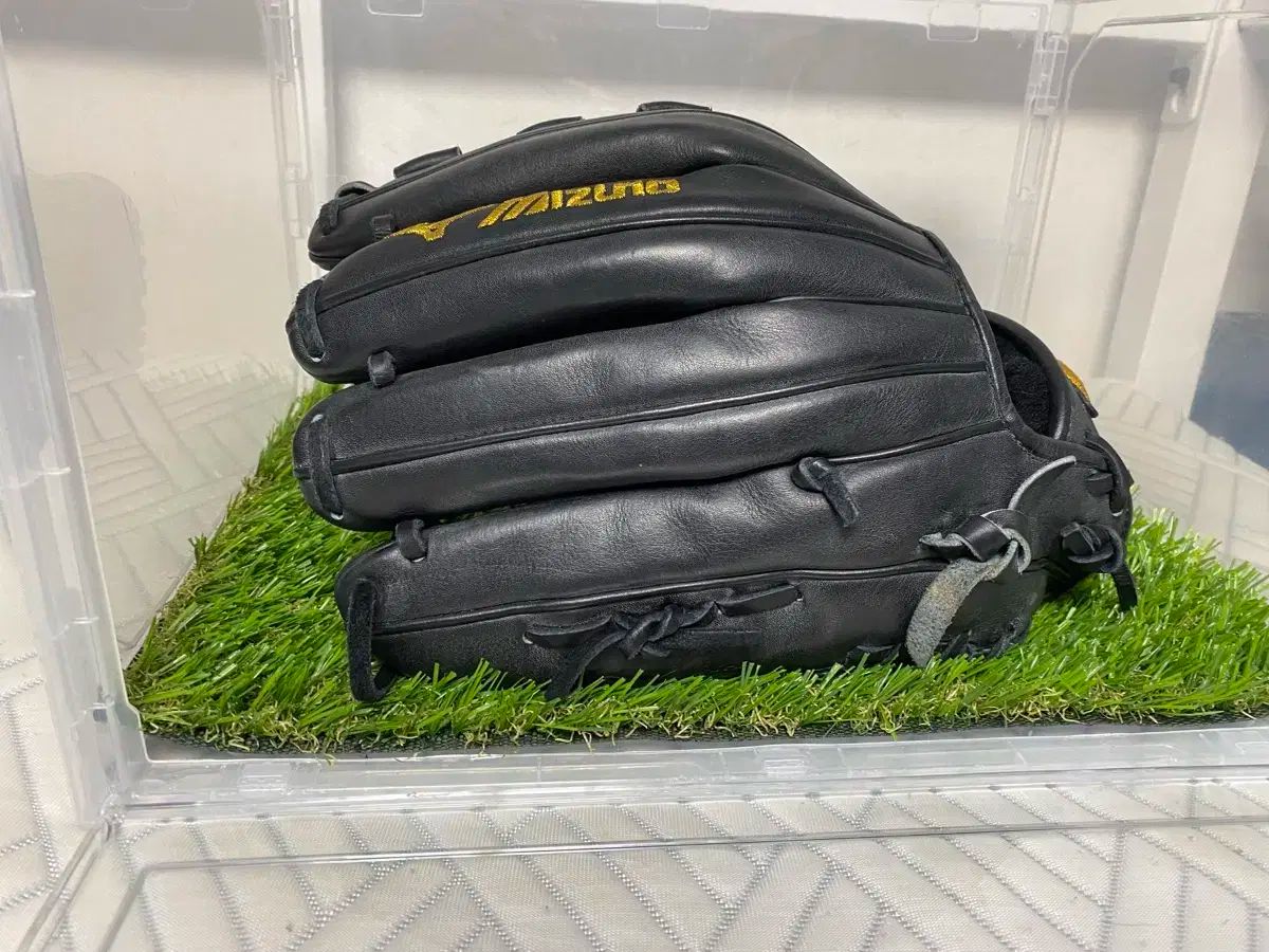 ビタブリッドジャパン ターミナリア ファースト プロフェッショナル120