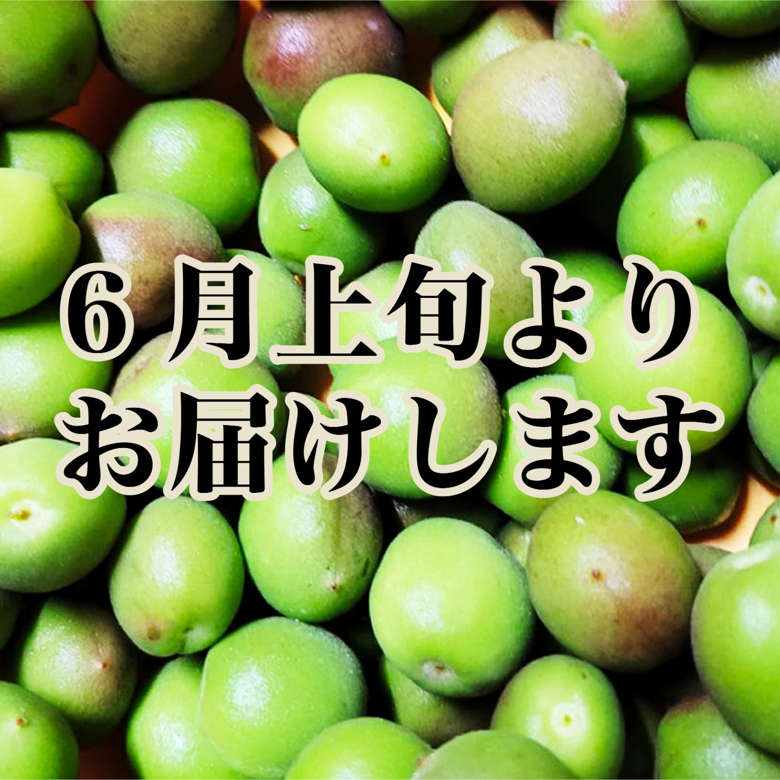 げん様 紀州南高梅