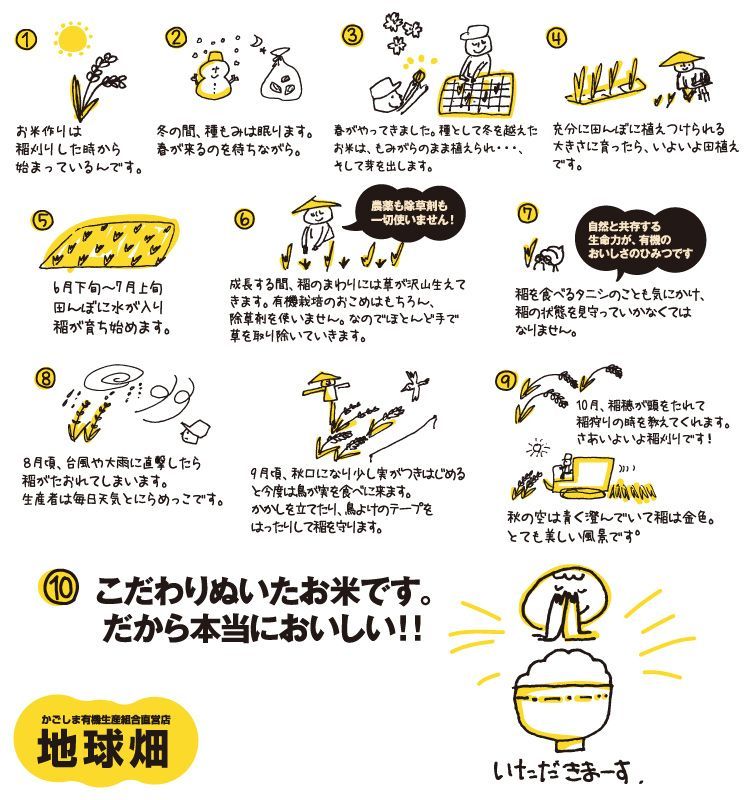 有機もち米 1kg (もち精米) 鹿児島県産 有機栽培 化学肥料・農薬不使用